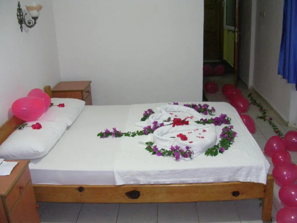 Hotel Babadag 올루데니스 2*,